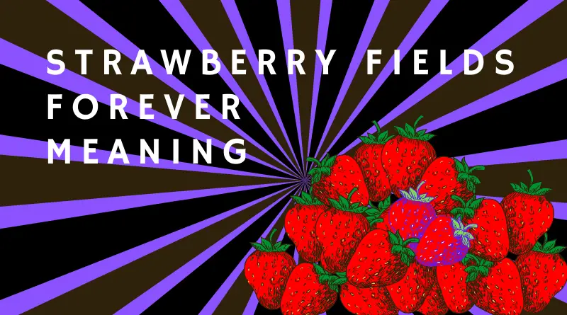  Strawberry Fields Forever Meaning Mathew Street